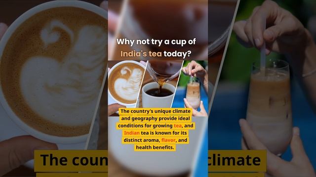 Why not try a cup of India's tea ?! смотреть онлайн
