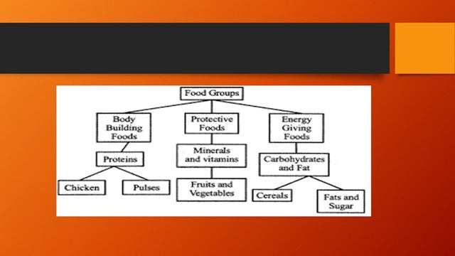 Class 6 chapter 2 COMPONENTS OF FOOD (PART-2) смотреть онлайн