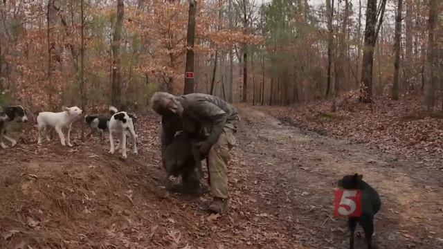 Mysterious Mountain Man Surrenders Life In The Woods With His Dogs смотреть онлайн
