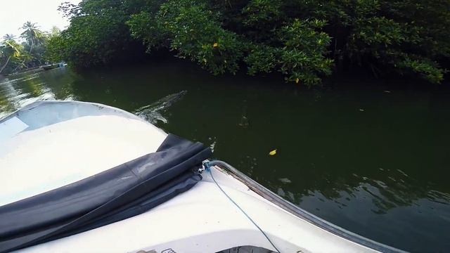 Шри-Ланка.Sri Lanka смотреть онлайн