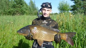 Сазан 11 кг. Нижегородская обл.