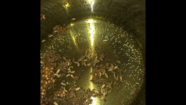 Balancing Tea | Tridoshic Tea | CCF Tea | Ayurvedic Tea| DIY with Jash смотреть онлайн