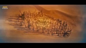 Жизнеописание Пророка Мухаммада #15: Когда его сандали были пропитаны кровью