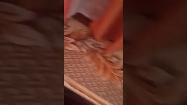 Рич и я после кваса смотреть онлайн