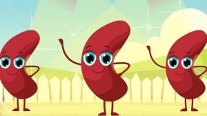 osratouna tv - قناة أسرتنا | أغنية الخضروات ومجموعة أغاني أطفال