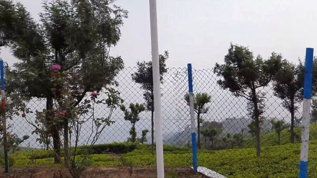 OASIS TEA BOUTIQUE | Short Vlog | Coonoor | смотреть онлайн