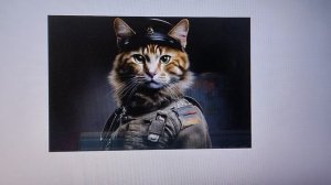 Гимн котов K.B.R./Автор идеи Радомир Ф.Д,текст Искуственный интелект.