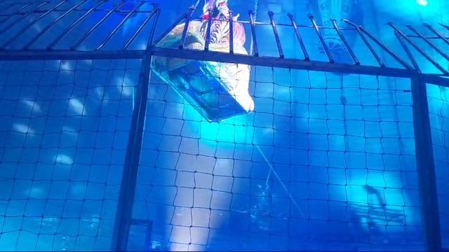 1000008654.mp4 смотреть онлайн