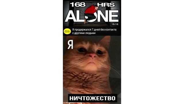 Мемы | Дневная подборка мемов 183 смотреть онлайн