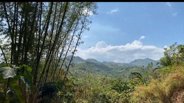 Mahogany Nature Camp | Tanay, Rizal