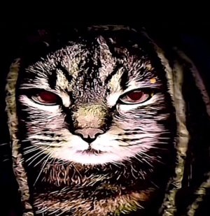 сидим с сашай