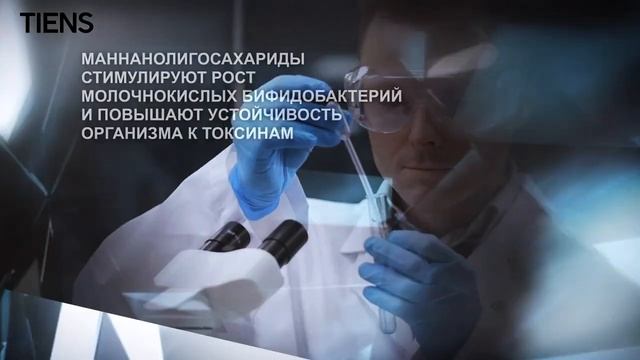 БАД к пище «Пребиотик с пищевыми волокнами «Тяньши» смотреть онлайн