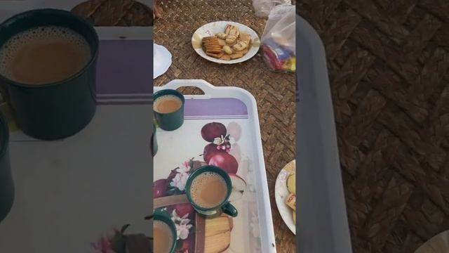 #Shorts Bed Tea For Breakfast With Cookies смотреть онлайн