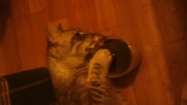 Дэйв пьет чай ))) смотреть онлайн