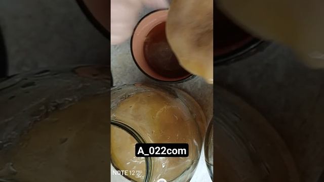 #чайныйгриб#комбуча#чай Доставка по всей России бесплатная! смотреть онлайн