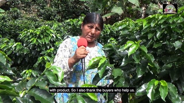 Producción de Café boliviano por Bio Arabica смотреть онлайн
