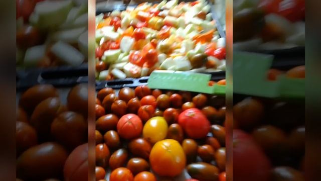 Диета для Мурика Они тоже заболевают от тоски Прочтите пост под роликом. #catvideo #котэ #любимые смотреть онлайн