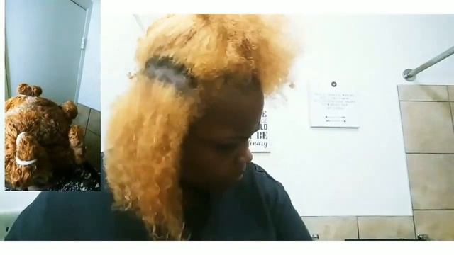 Fantasia ic PURE 🍵 Silky Gel Moisturizer on Color Treated Hair + Dying Process Clips смотреть онлайн