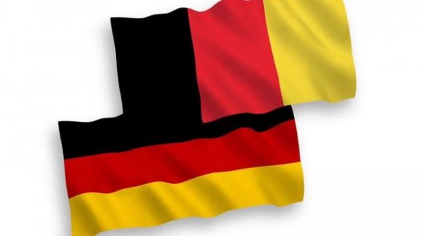 Todo el proceso del Café de la planta a tu taza - Cosas que hay que saber.