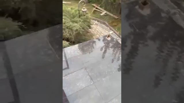 Ступени из гранита Tan Brown смотреть онлайн