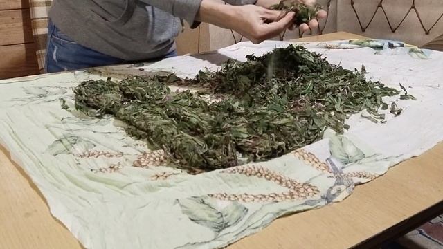 Ферментация иван-чая. Самый правильный способ. смотреть онлайн