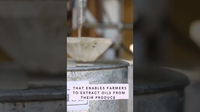 Soucing 100% Pure Essential Oils Directly From Farmers смотреть онлайн