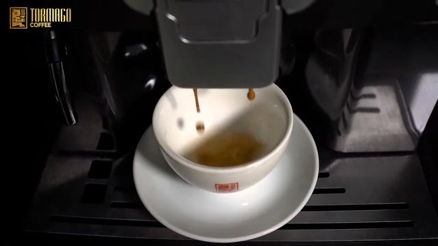 Barista - Premium Arabica Coffee From Tormago смотреть онлайн