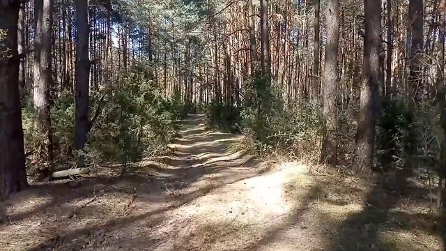 В поисках Иван-чая смотреть онлайн