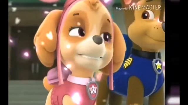 Гонщик и Скай (Кис Кис Кис Мяу Мяу)