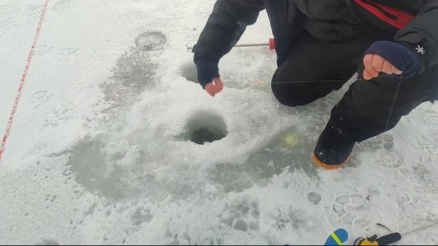 WhatsApp Video 2025-01-12 at 10.22.35 смотреть онлайн