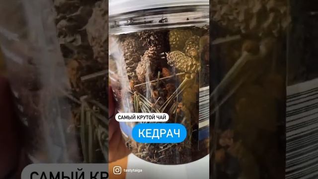 Кедрач - это самый крутой таёжный чай смотреть онлайн