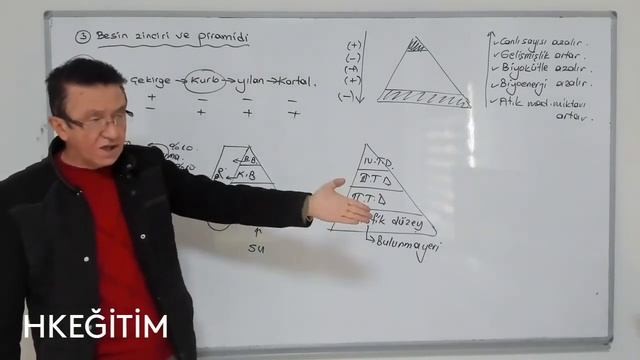 HK ONLINE 29.01.2021 -BİYOLOJİ- 1.DERS (10) смотреть онлайн