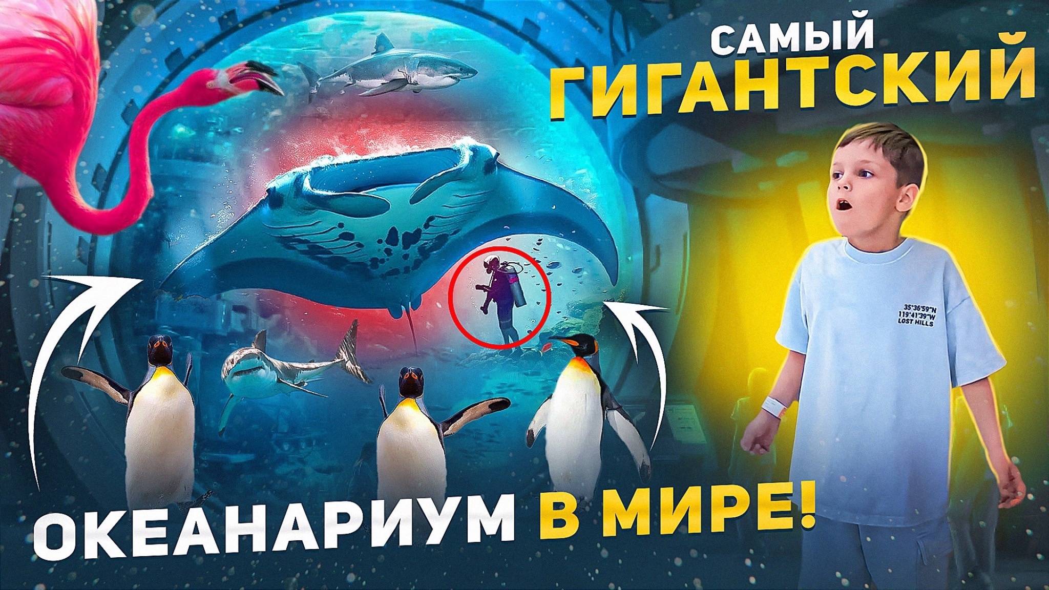 ОГРОМНЫЙ ОКЕАНАРИУМ С АКУЛАМИ Гуляем по самому большому в мире океанариуму! смотреть онлайн