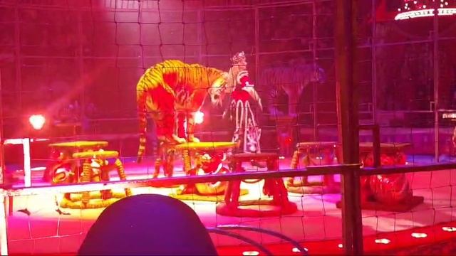 1000008650.mp4 смотреть онлайн