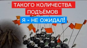 СУДАК и ЩУКА на ЖЕРЛИЦЫ! Жор хищника по первому льду.