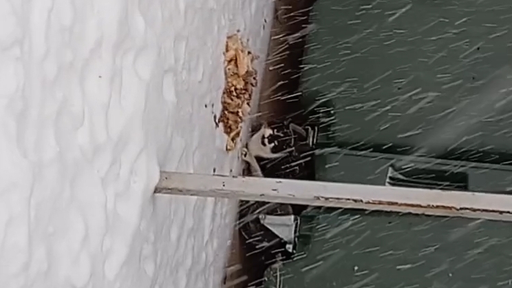 Начало нового года с добрых дел смотреть онлайн