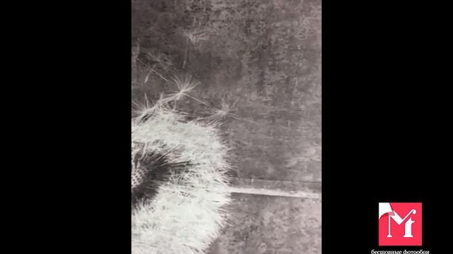 10-882 смотреть онлайн