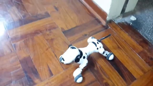 Perro robot smart-dog смотреть онлайн