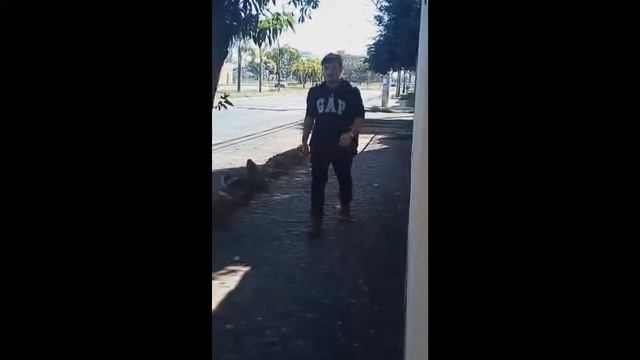 TAN TAN DAN DAN DAN * TAN DAN* смотреть онлайн