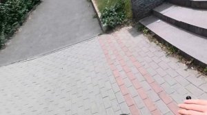 Электросамокат Pulse XC-1. Магазин GYROCLUB