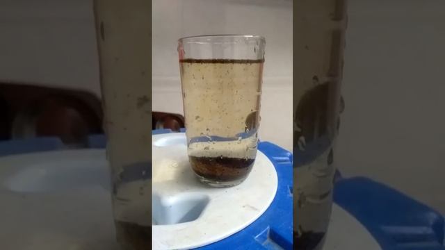 Dust Tea Testing experiment смотреть онлайн
