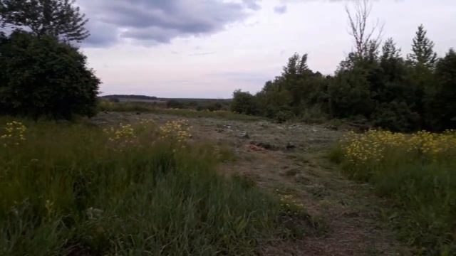 ВЛОГ: ПРИСВОИЛА ЧУЖИХ ДЕТЕЙ😅/РАСТУТ НЕ ПО ДНЯМ, А ПО ЧАСАМ смотреть онлайн