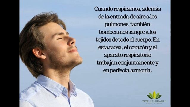 Porque Respirar Bien Es Tan Importante Para Tu Salud?- Vive Saludable Klaudia Damaris смотреть онлайн