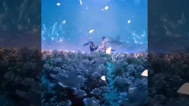 AMV | Сяо Ву & Тан Сан ~ Боевой континент -  Douluo Dalu - аниме клип #soulland