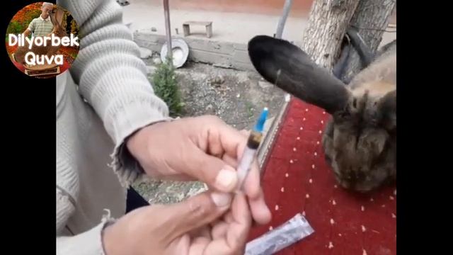 Инфекционний ринит смотреть онлайн