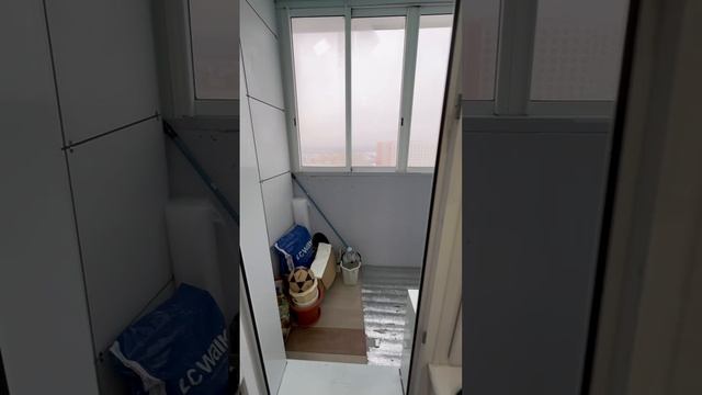 -8987830329494196292