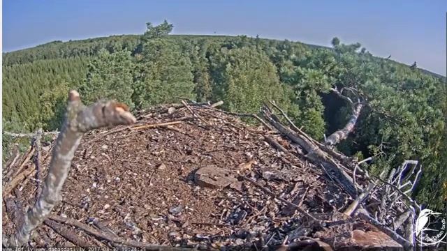 Запись 2017 08 30 17 43 51 411 смотреть онлайн