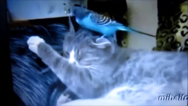 А ТЫ ТАКАЯ...НИКАКАЯ ... смотреть онлайн