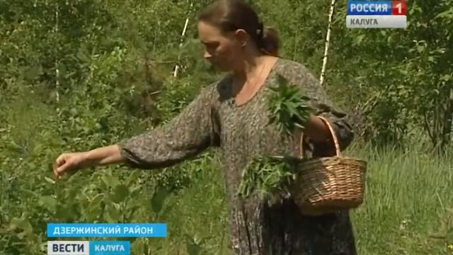 Травяное здоровье смотреть онлайн