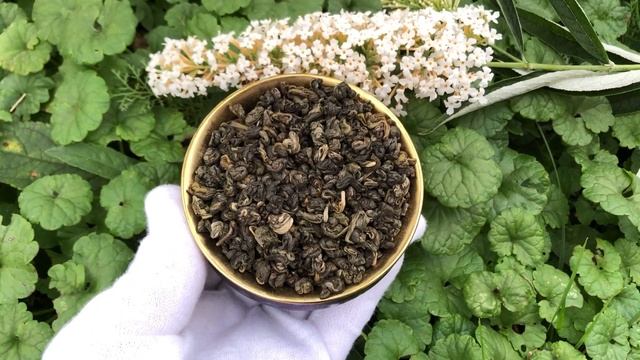 Китайский чай Лу Инь Ло - Изумрудный жемчуг смотреть онлайн